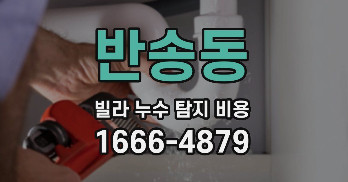 반송동 빌라 누수 탐지 비용