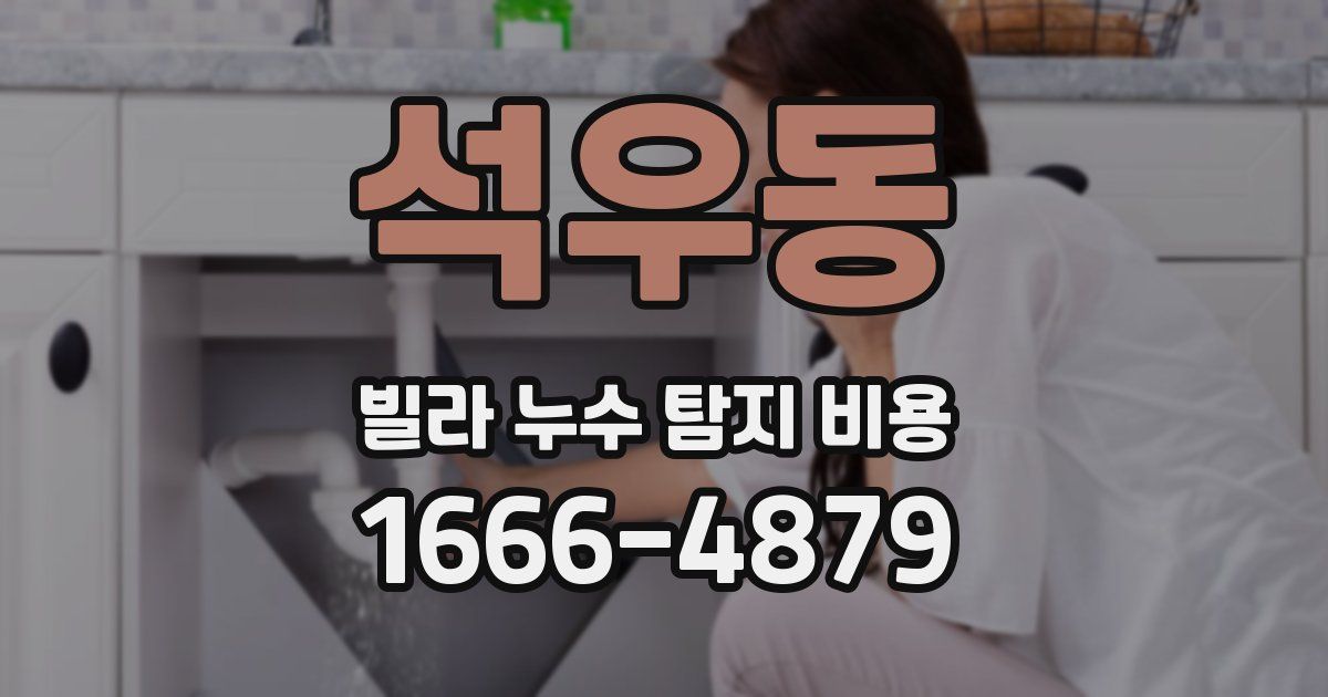 석우동 빌라 누수 탐지 비용