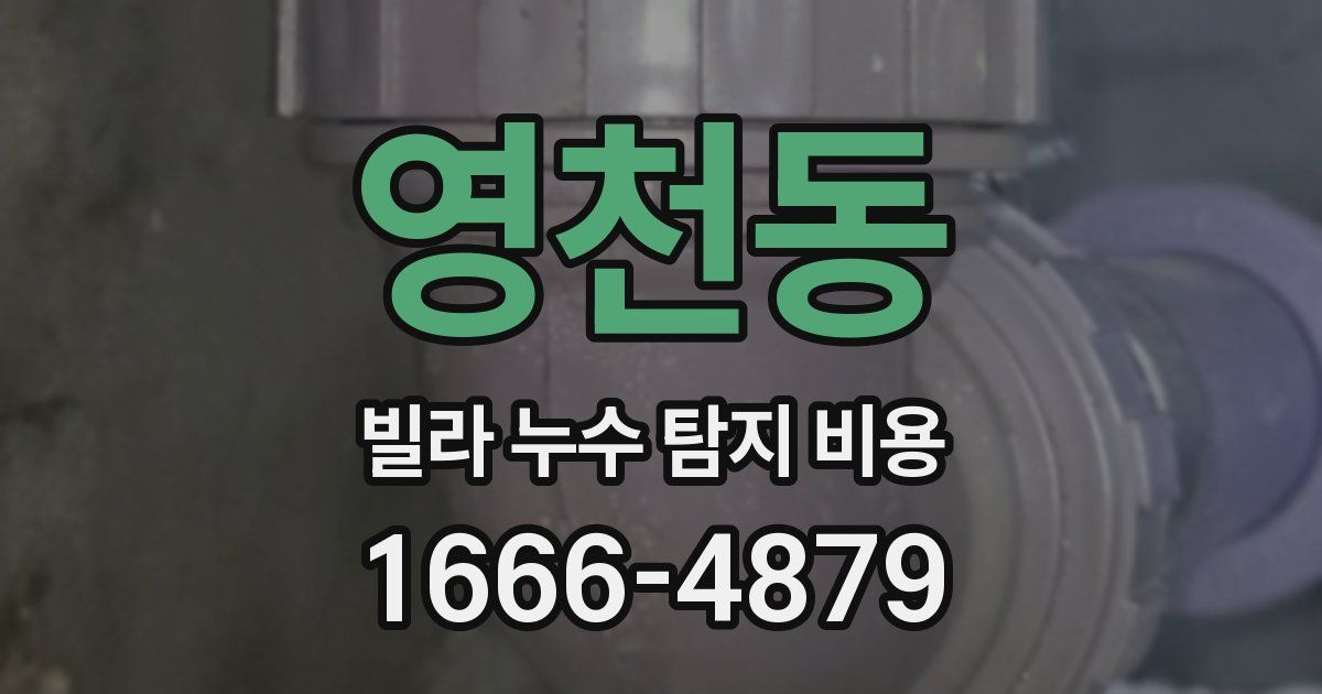영천동 빌라 누수 탐지 비용