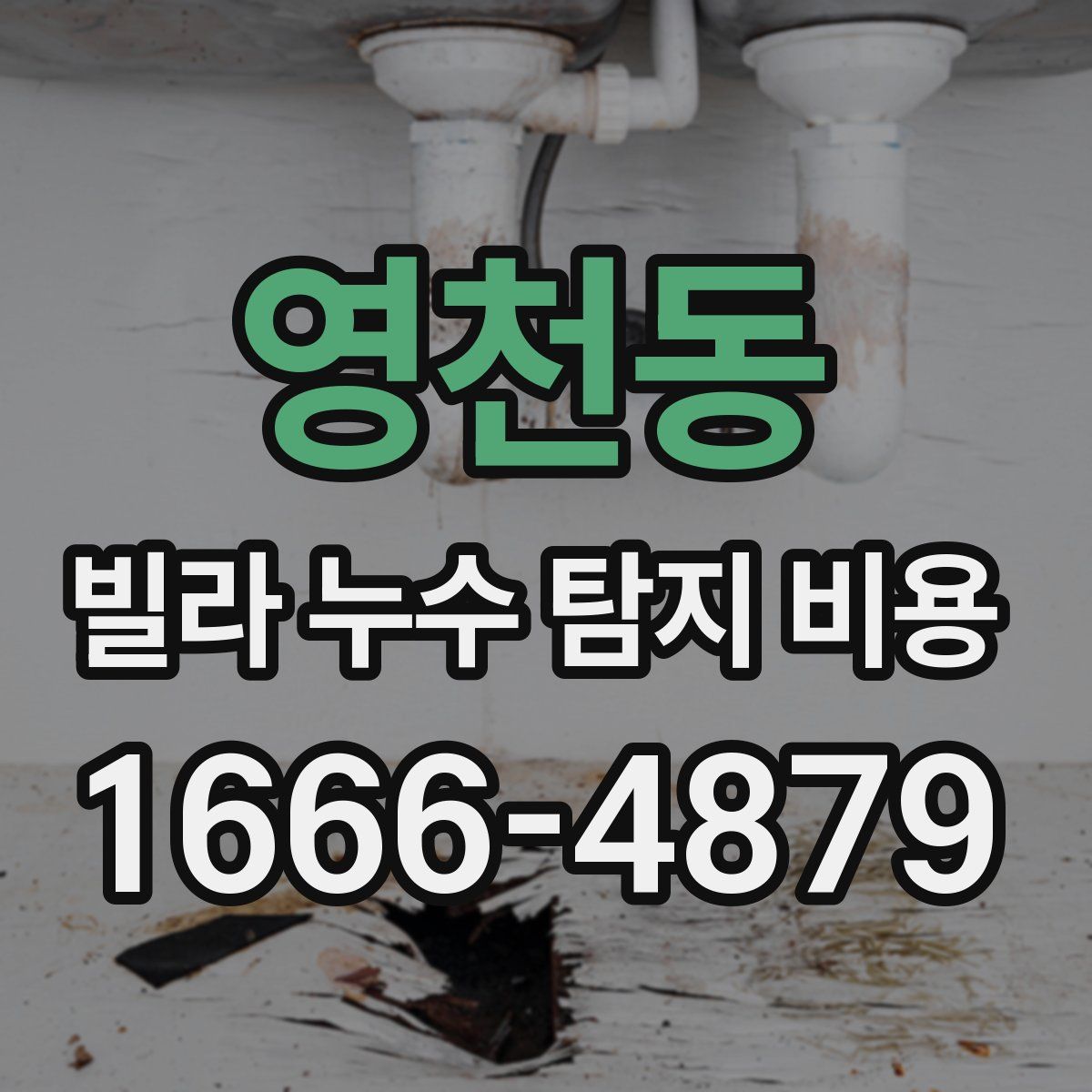 영천동 빌라 누수 탐지 비용