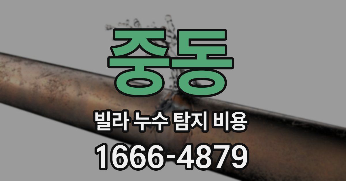 중동 빌라 누수 탐지 비용