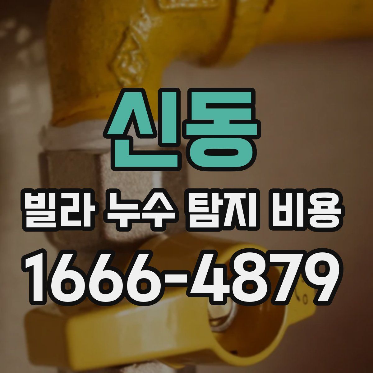 신동 빌라 누수 탐지 비용