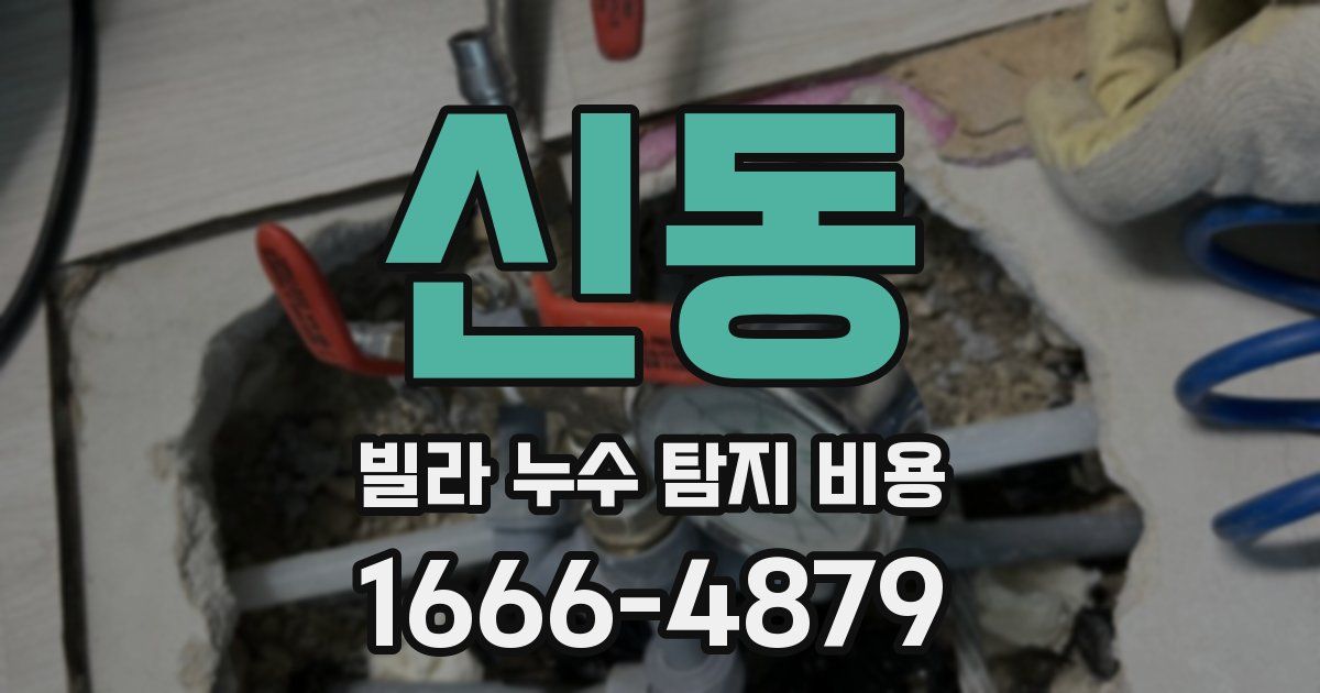 신동 빌라 누수 탐지 비용