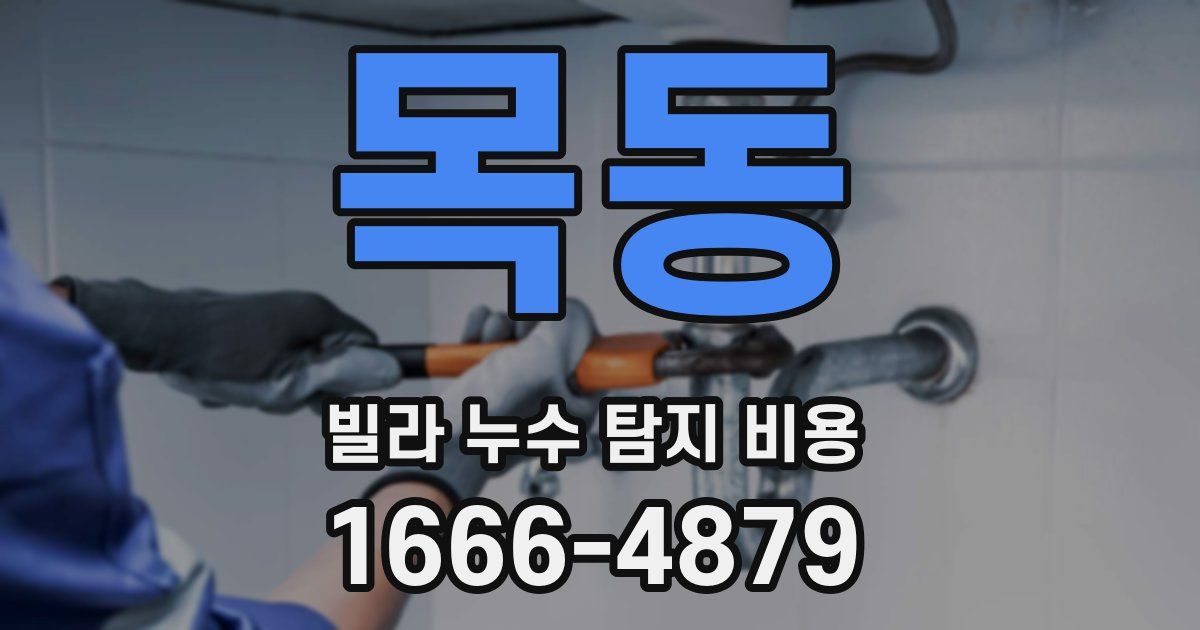 목동 빌라 누수 탐지 비용