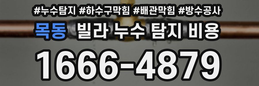 목동 빌라 누수 탐지 비용