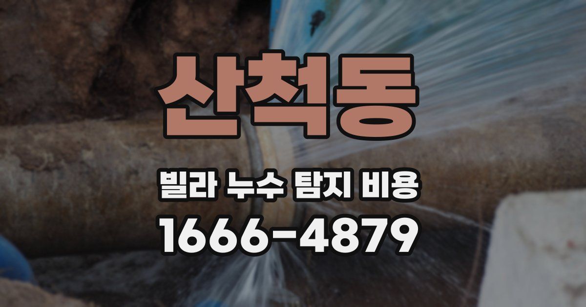 산척동 빌라 누수 탐지 비용