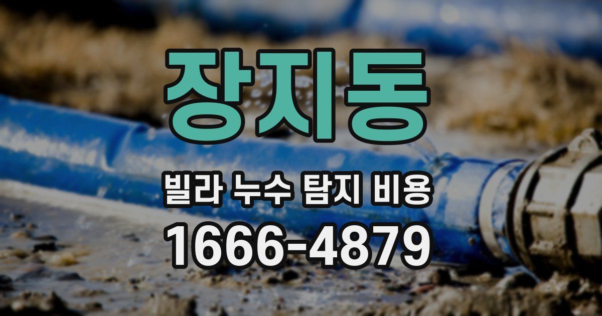 장지동 빌라 누수 탐지 비용