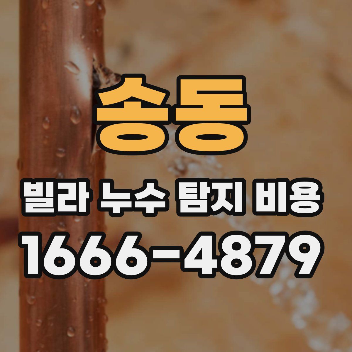 송동 빌라 누수 탐지 비용