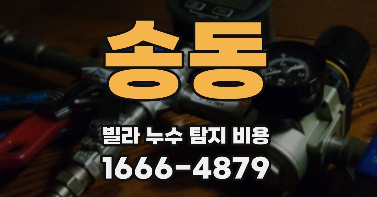송동 빌라 누수 탐지 비용