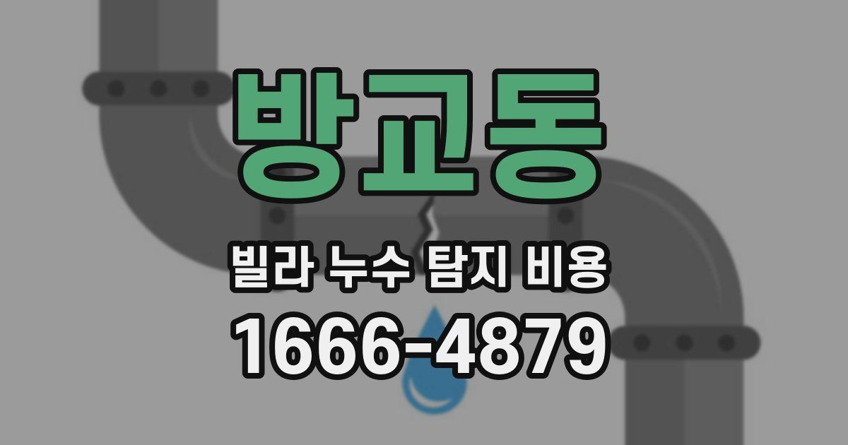 방교동 빌라 누수 탐지 비용