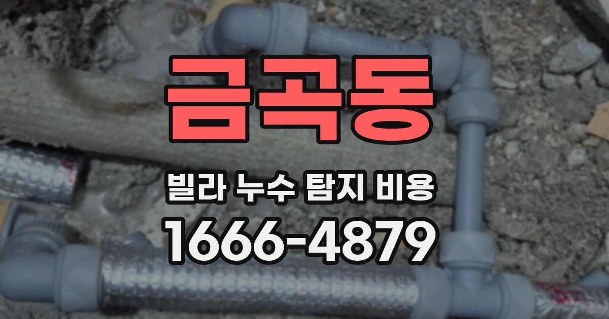 금곡동 빌라 누수 탐지 비용