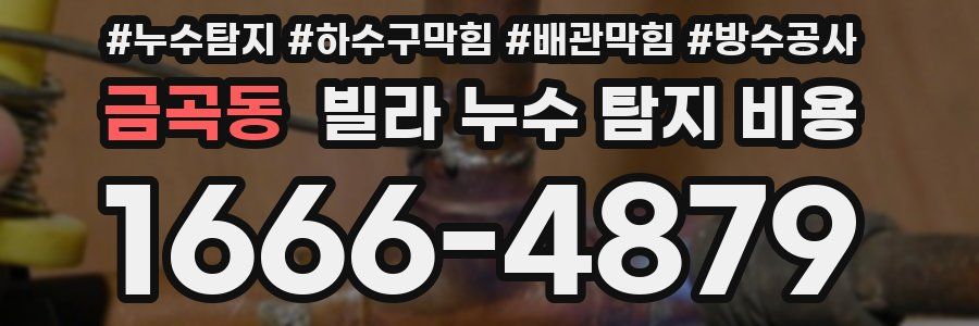 금곡동 빌라 누수 탐지 비용