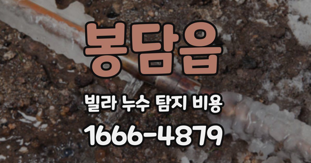 봉담읍 빌라 누수 탐지 비용