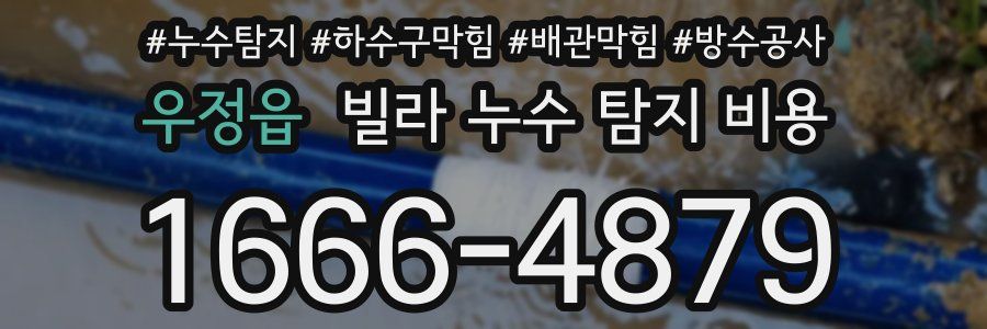 우정읍 빌라 누수 탐지 비용