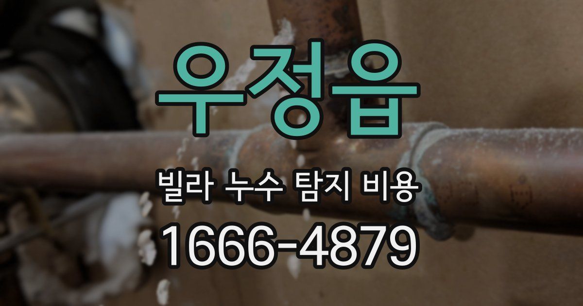 우정읍 빌라 누수 탐지 비용