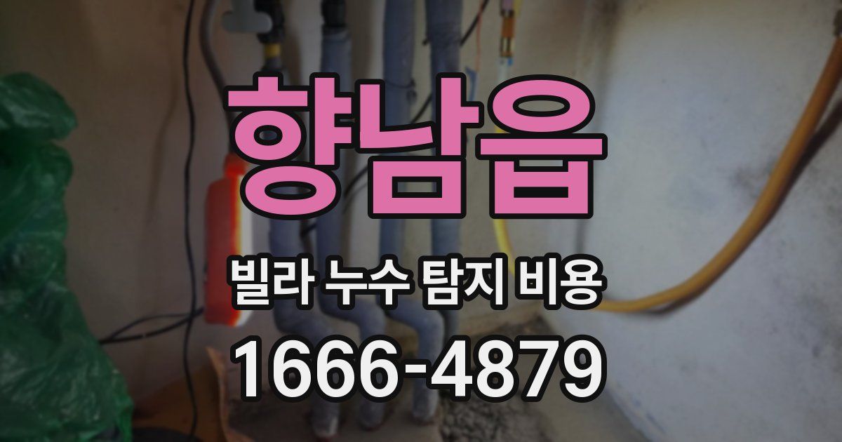 향남읍 빌라 누수 탐지 비용