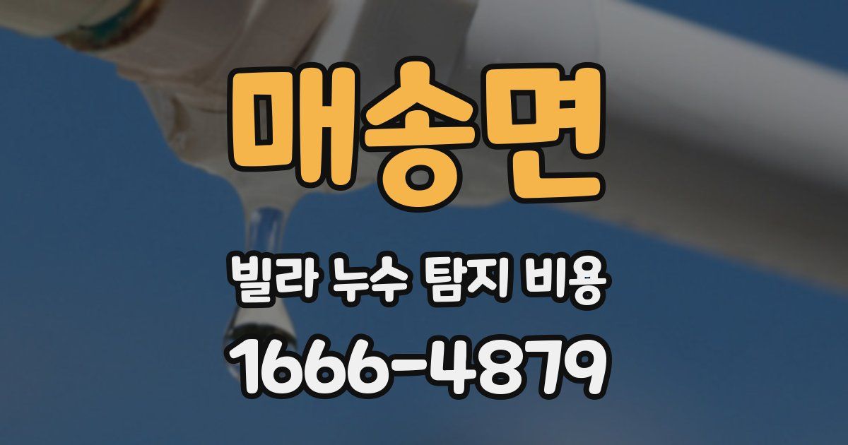 매송면 빌라 누수 탐지 비용