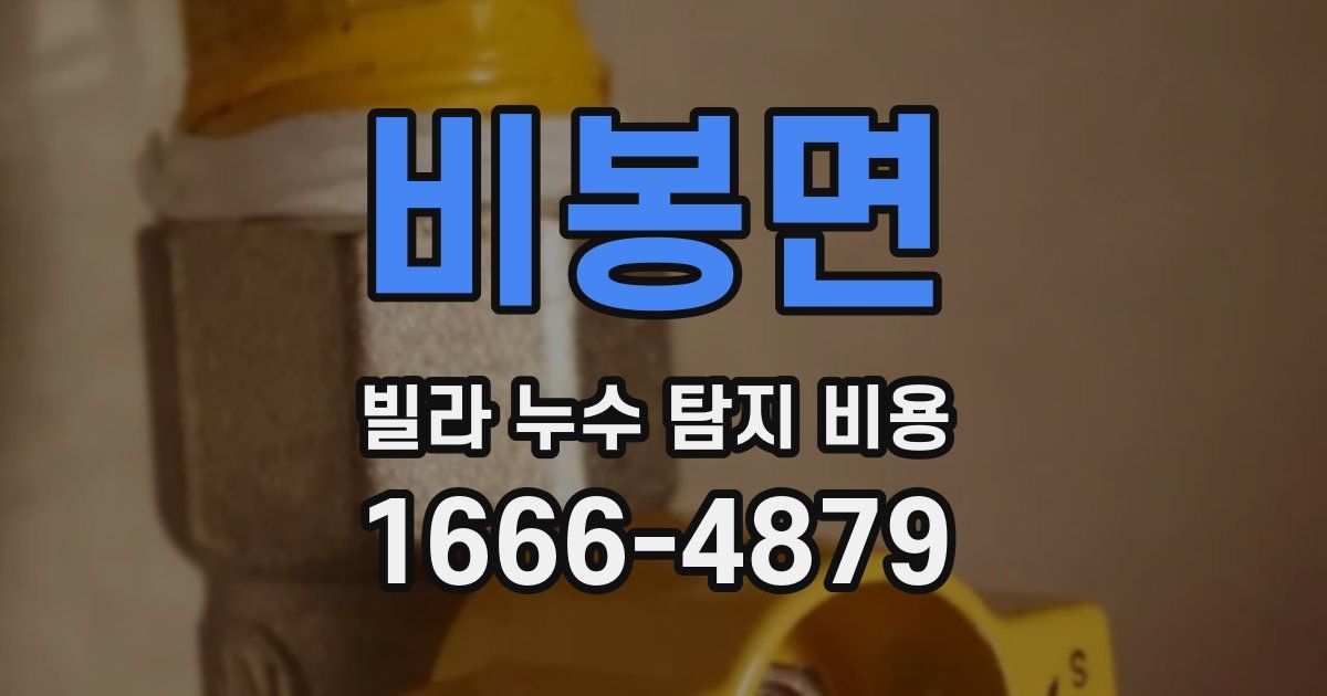 비봉면 빌라 누수 탐지 비용