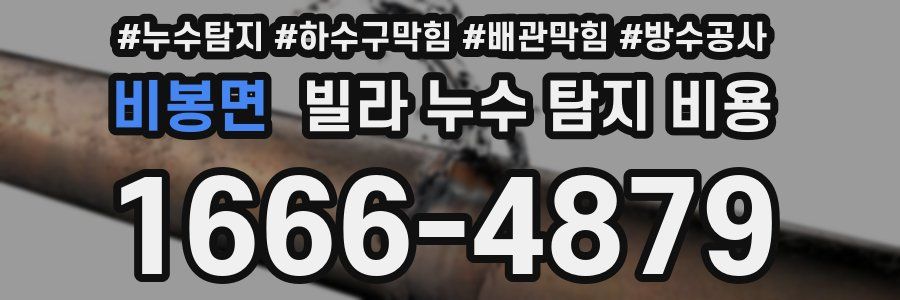 비봉면 빌라 누수 탐지 비용
