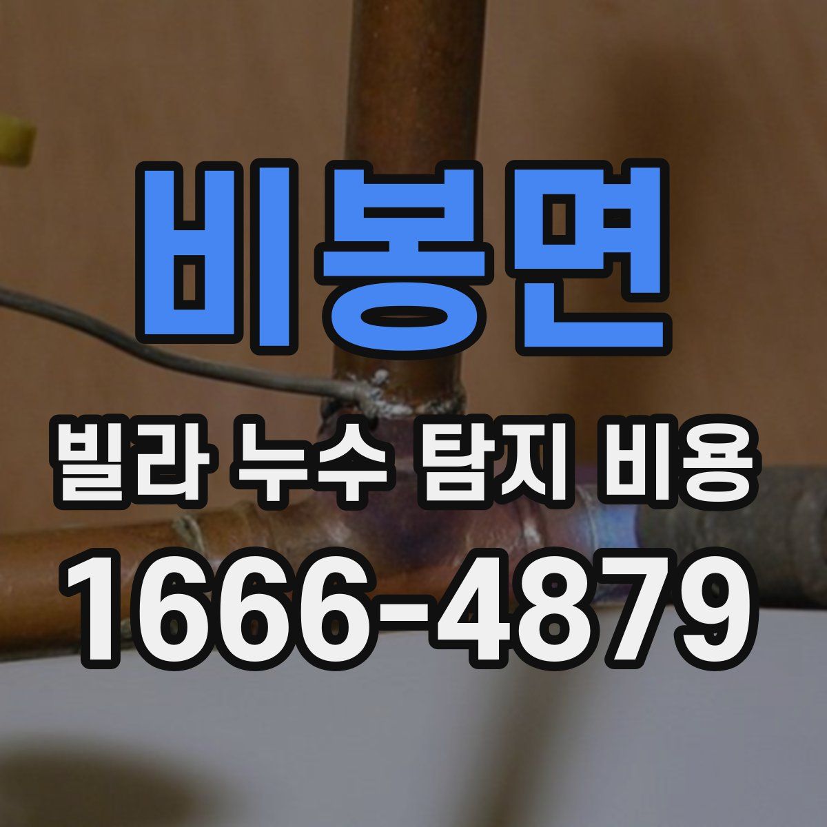 비봉면 빌라 누수 탐지 비용