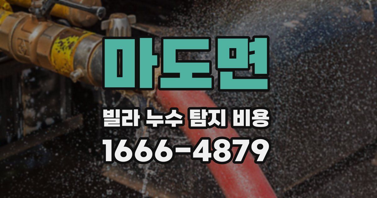 마도면 빌라 누수 탐지 비용