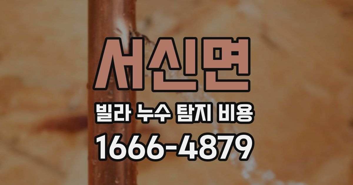 서신면 빌라 누수 탐지 비용