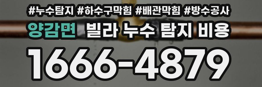 양감면 빌라 누수 탐지 비용