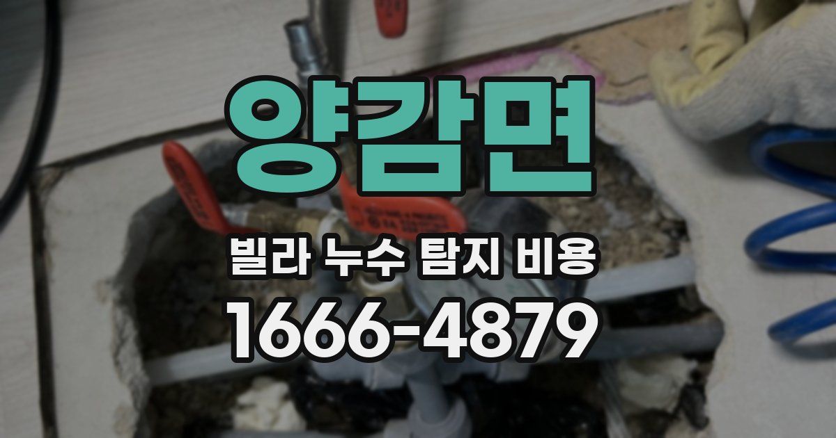 양감면 빌라 누수 탐지 비용