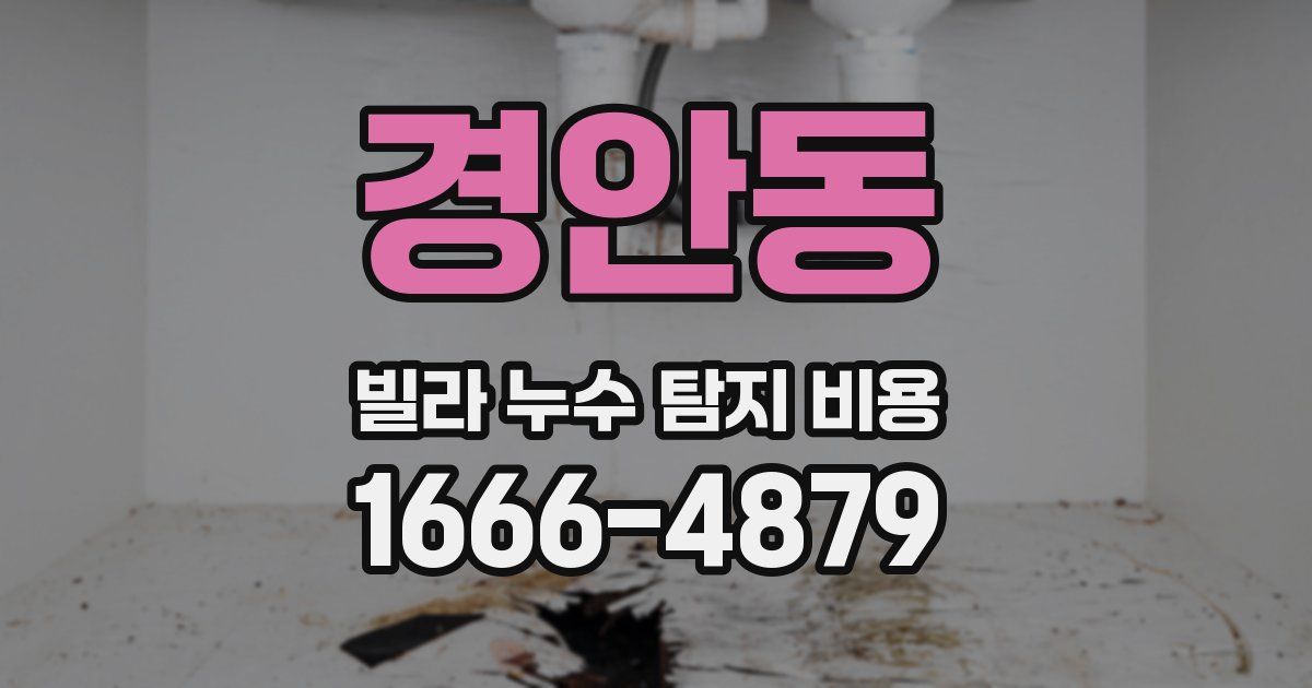 경안동 빌라 누수 탐지 비용