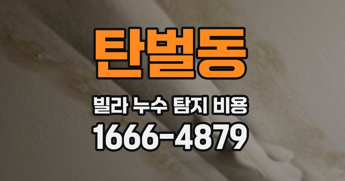 탄벌동 빌라 누수 탐지 비용