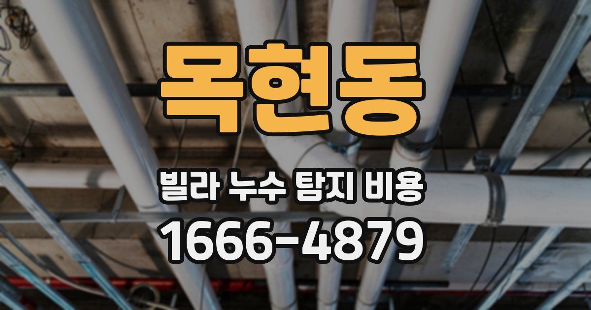 목현동 빌라 누수 탐지 비용