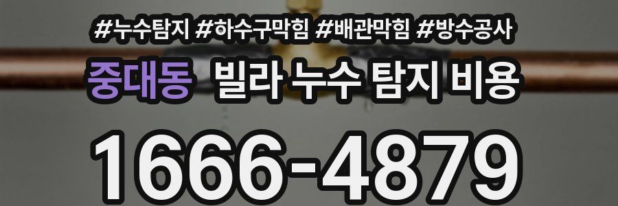 중대동 빌라 누수 탐지 비용