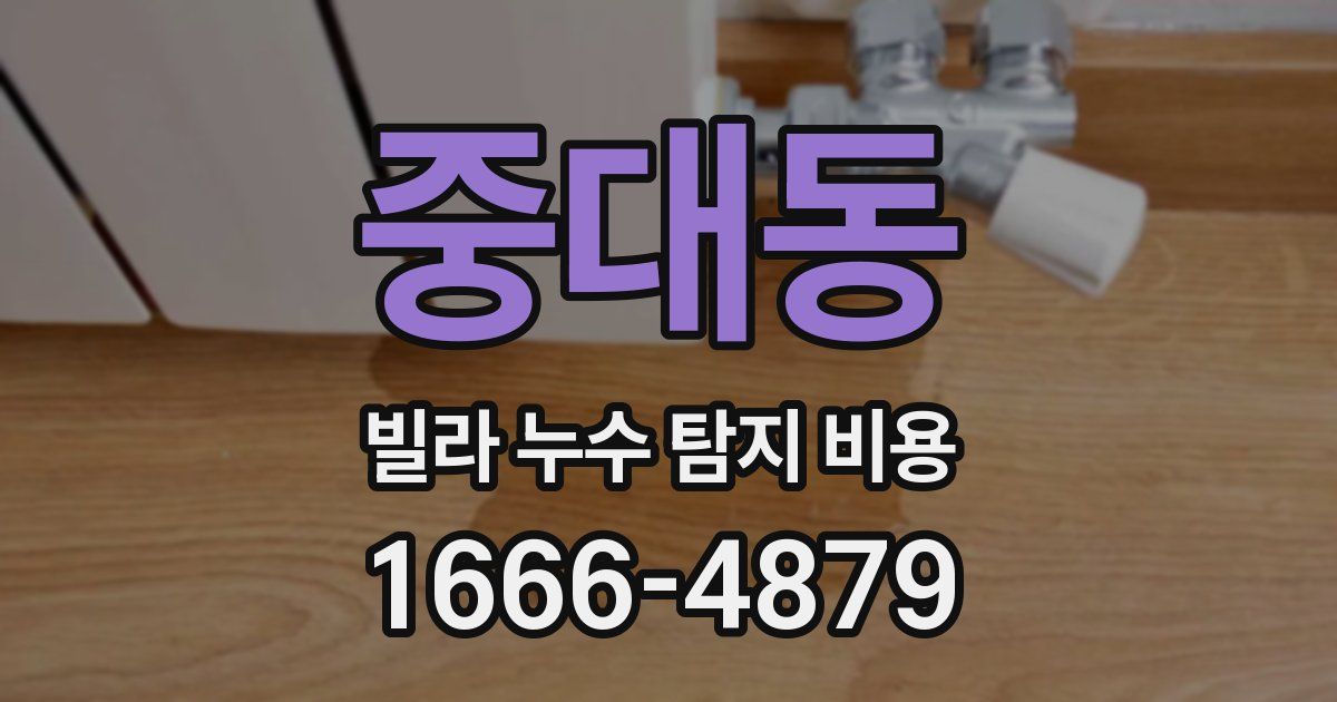 중대동 빌라 누수 탐지 비용