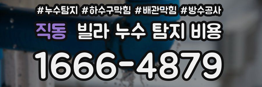 직동 빌라 누수 탐지 비용