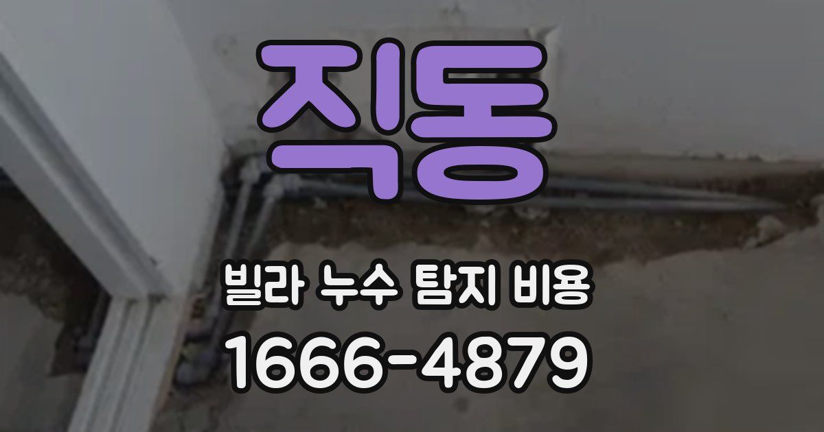 직동 빌라 누수 탐지 비용