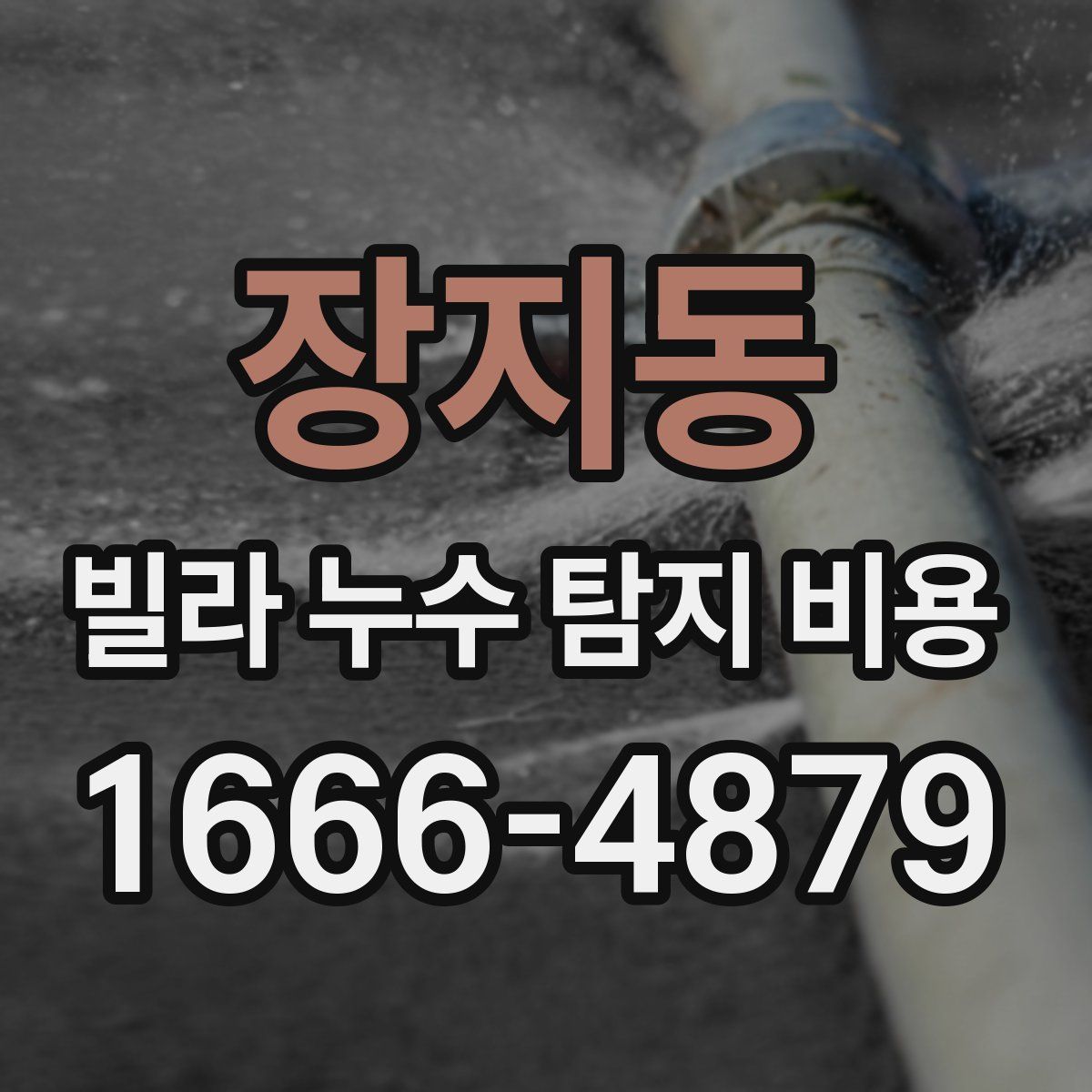 장지동 빌라 누수 탐지 비용