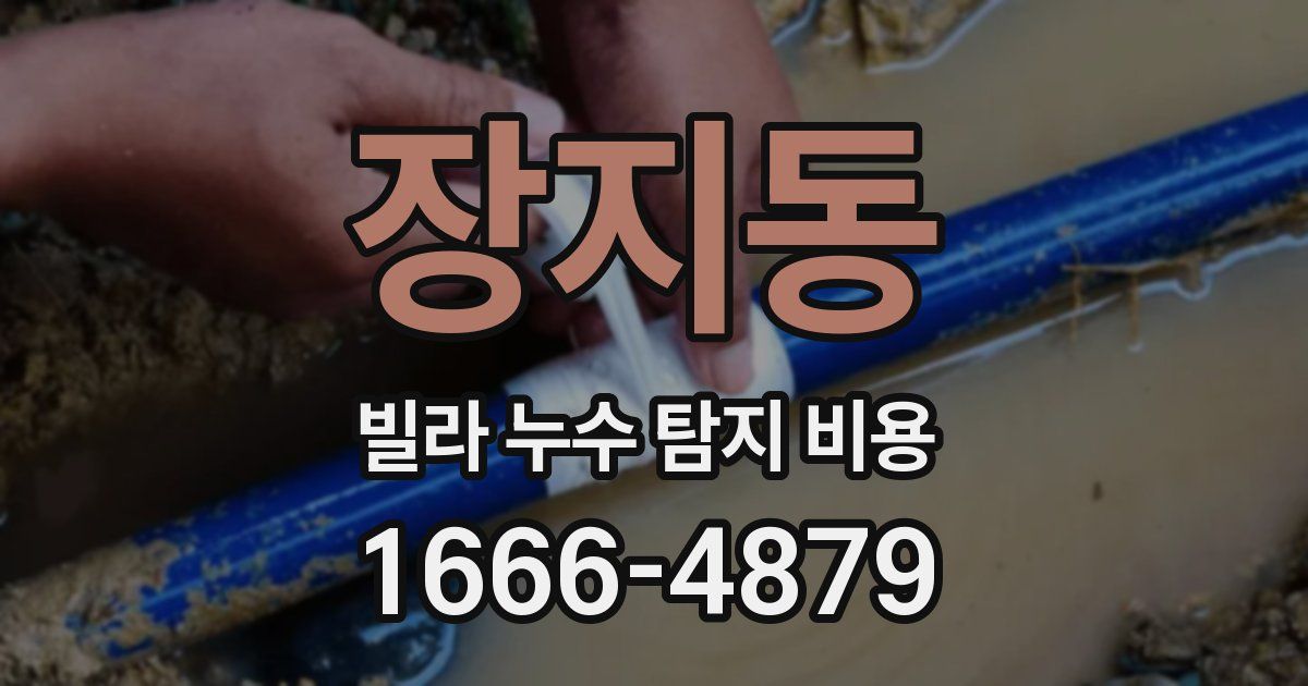 장지동 빌라 누수 탐지 비용