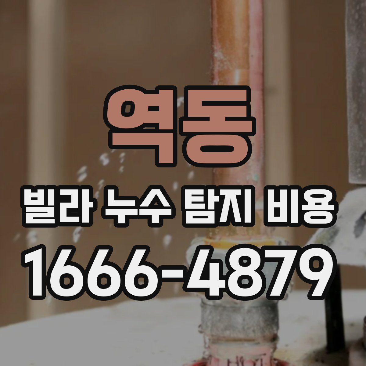 역동 빌라 누수 탐지 비용