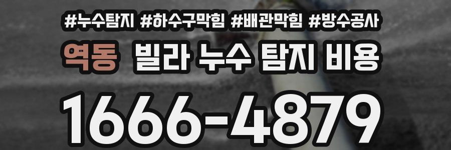 역동 빌라 누수 탐지 비용