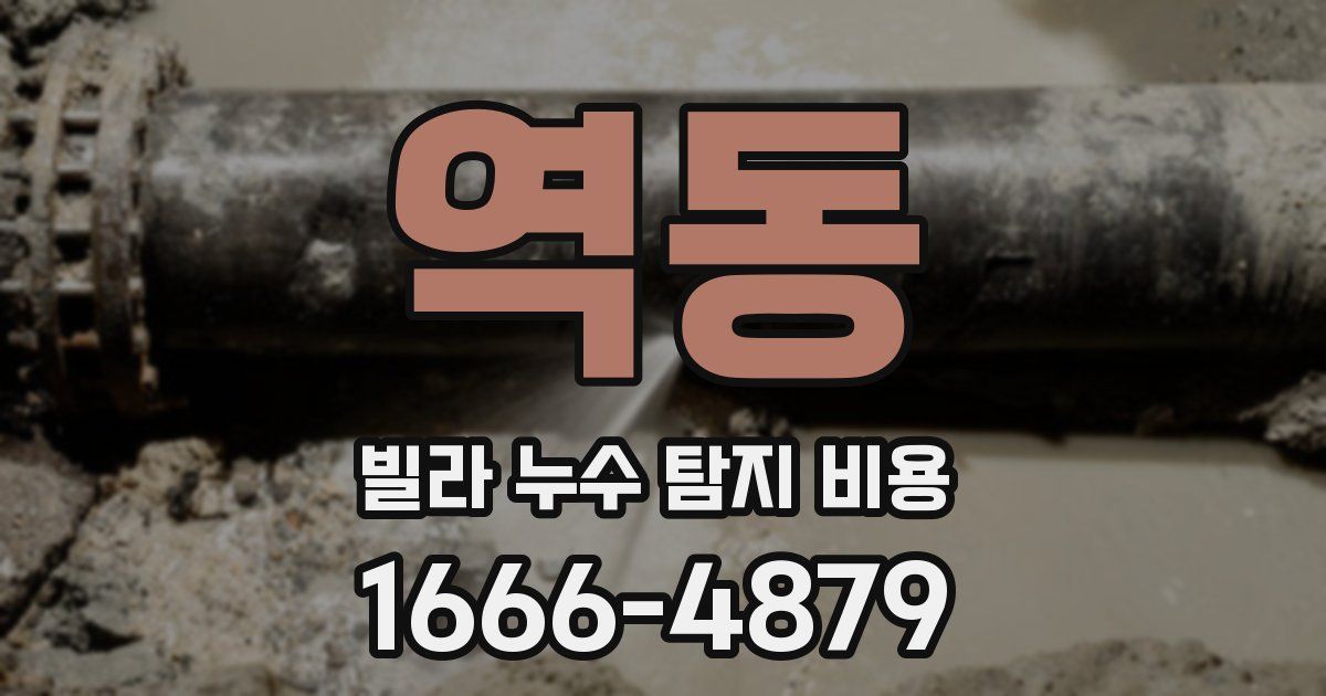 역동 빌라 누수 탐지 비용
