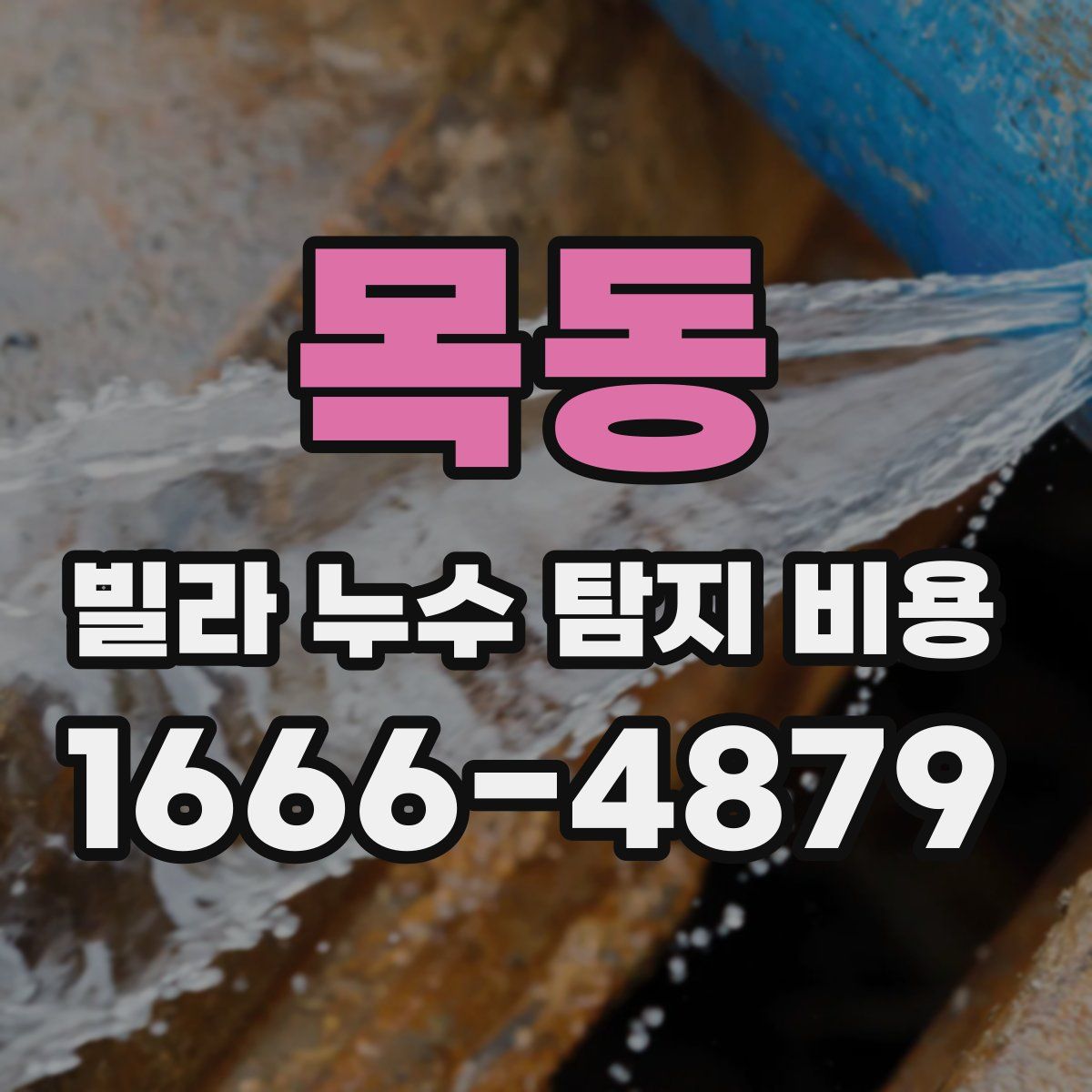 목동 빌라 누수 탐지 비용