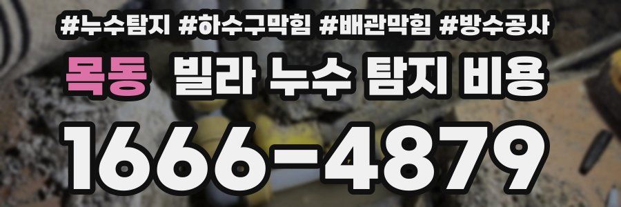 목동 빌라 누수 탐지 비용