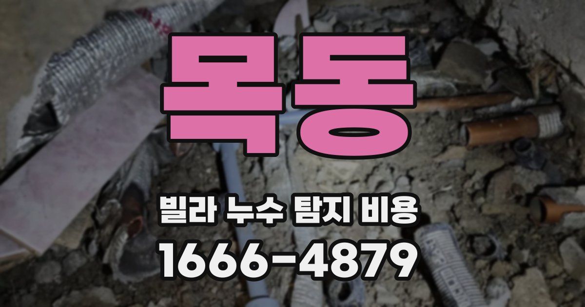 목동 빌라 누수 탐지 비용