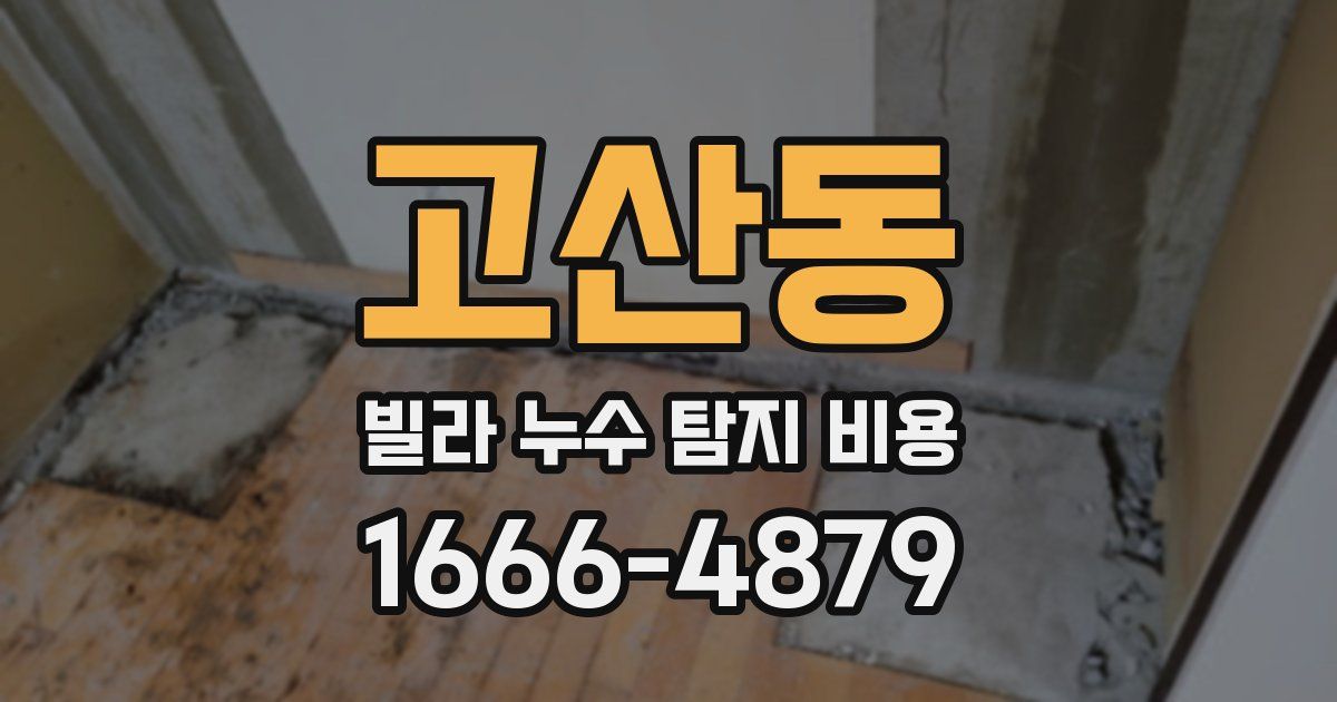 고산동 빌라 누수 탐지 비용