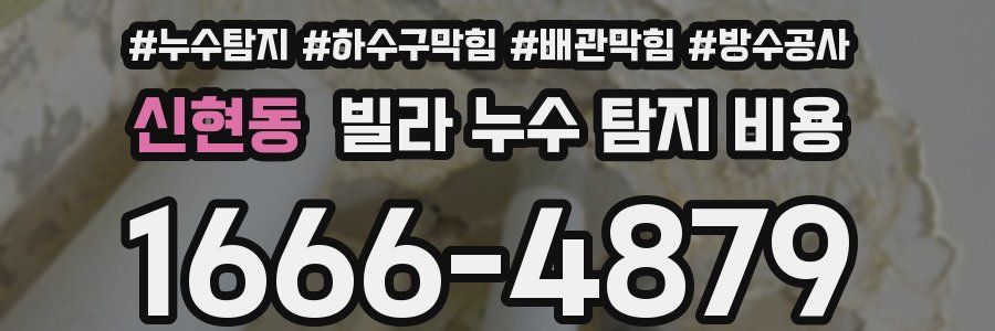 신현동 빌라 누수 탐지 비용