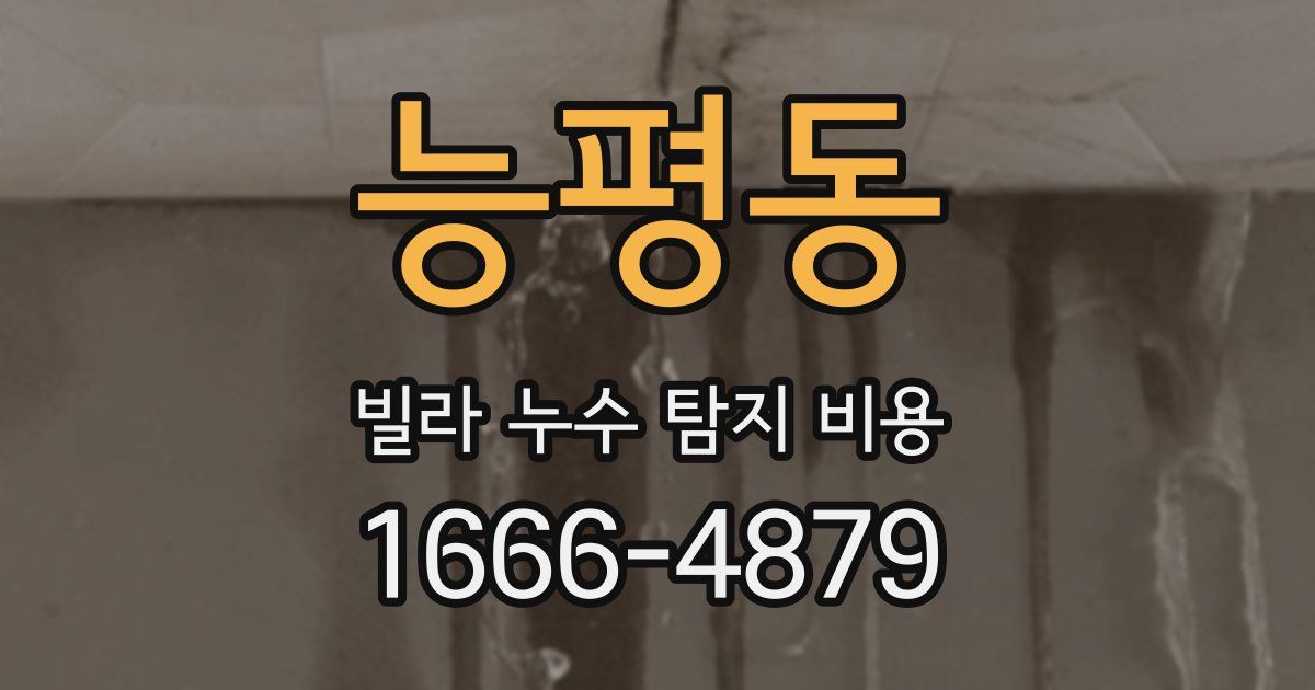 능평동 빌라 누수 탐지 비용