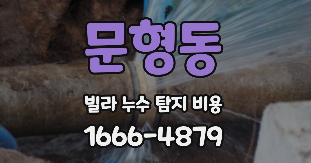 문형동 빌라 누수 탐지 비용
