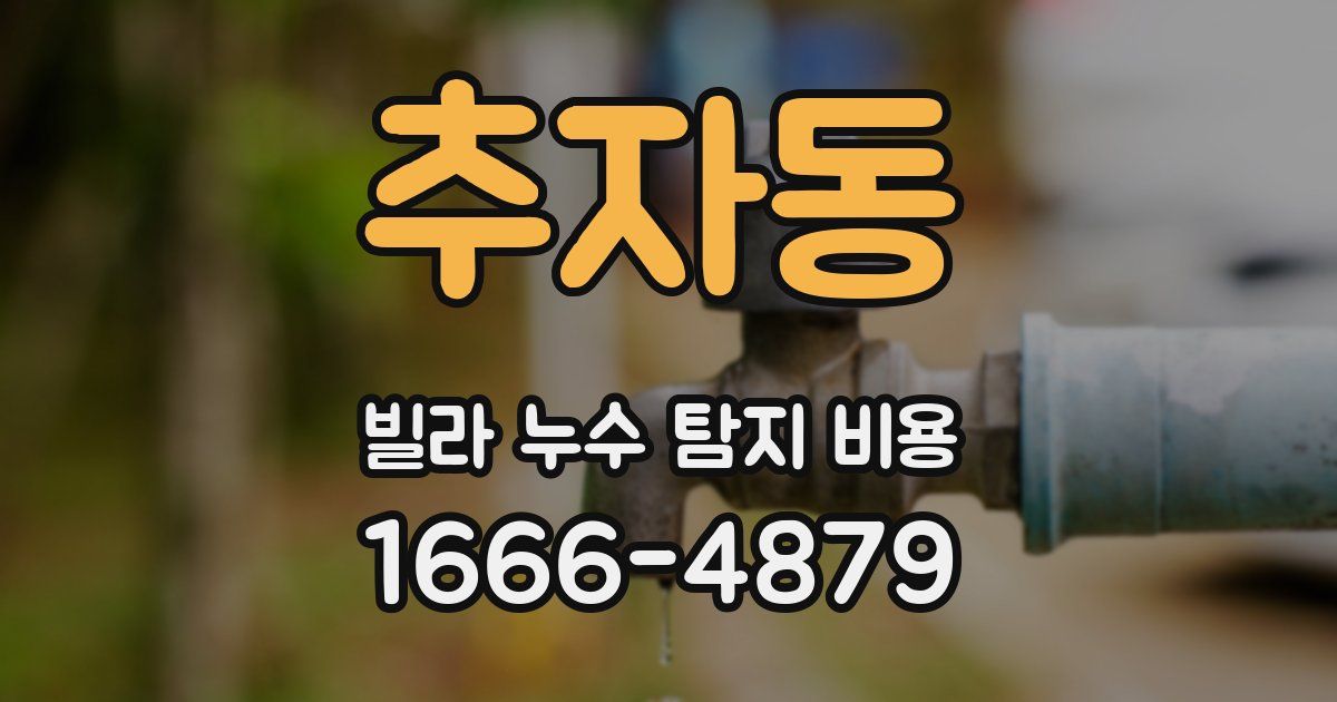 추자동 빌라 누수 탐지 비용