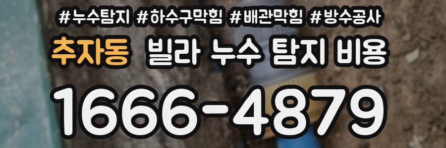 추자동 빌라 누수 탐지 비용