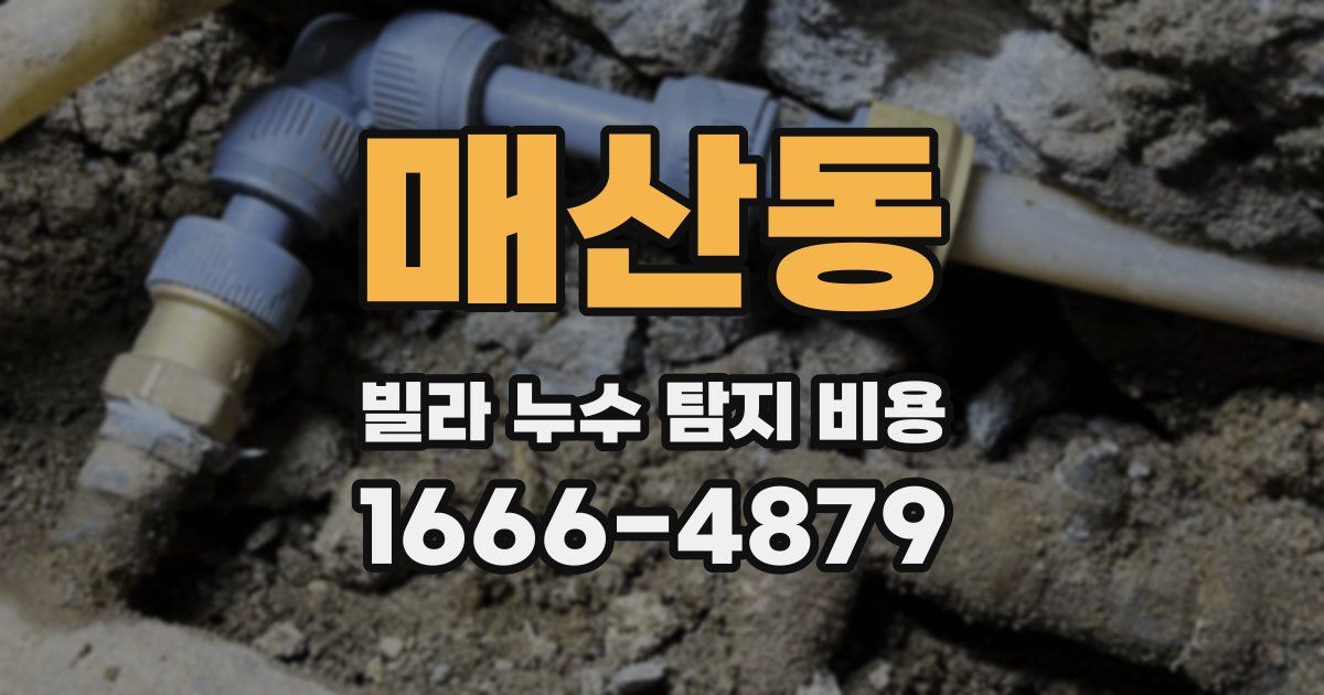 매산동 빌라 누수 탐지 비용